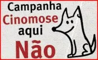 Merial e WSPA Brasil juntas contra a Cinomose