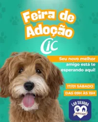 Feira de Adoção de Animais CIC e Lar Silvana em Blumenau