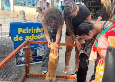 Feirinha de Adoção Animal em Macaé