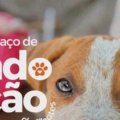 Espaço de Adoção da Sempa