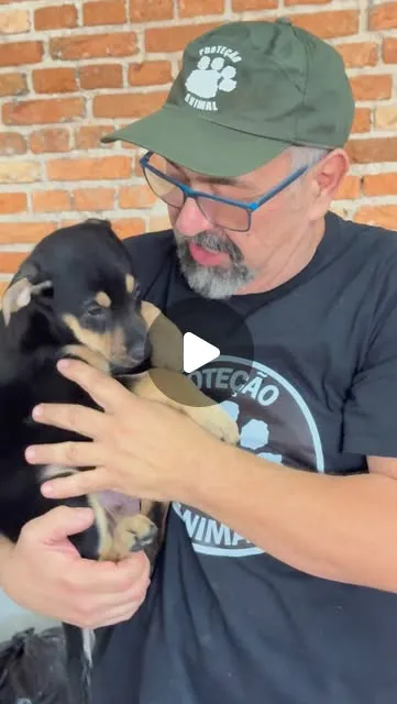 Grande Evento de Adoção do Coração