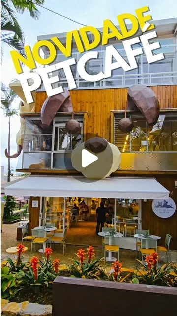 PETCAFÉ COM CÃES E GATOS PARA ADOÇÃO!