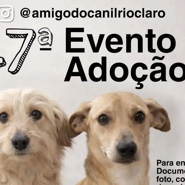 7º Evento de Adoção Amigo do Canil Rio Claro