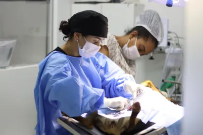 Feira de Adoção "Adote um Amiguinho" em Senador Canedo