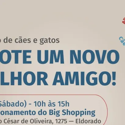 Feira de Adoção de Cães e Gatos em Contagem!