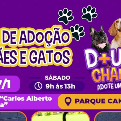 Feira de Adoção de Cães e Gatos em Sorocaba