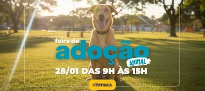 2ª Feirinha de Adoção 2026 em Atibaia