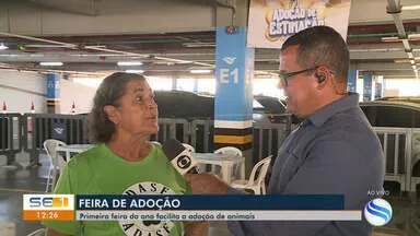 Feira de Adoção de Cães e Gatos em Aracaju