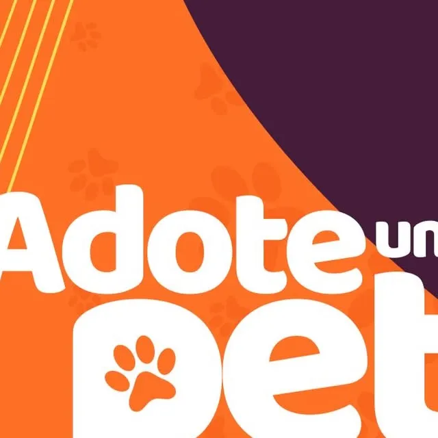 Ação de Doação de Pets no Shopping 3 Américas