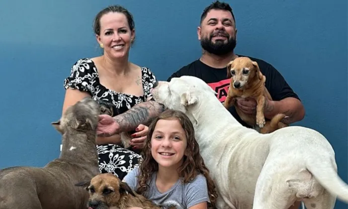 Centro de Bem-Estar Animal de Joinville incentiva adoção de animais idosos