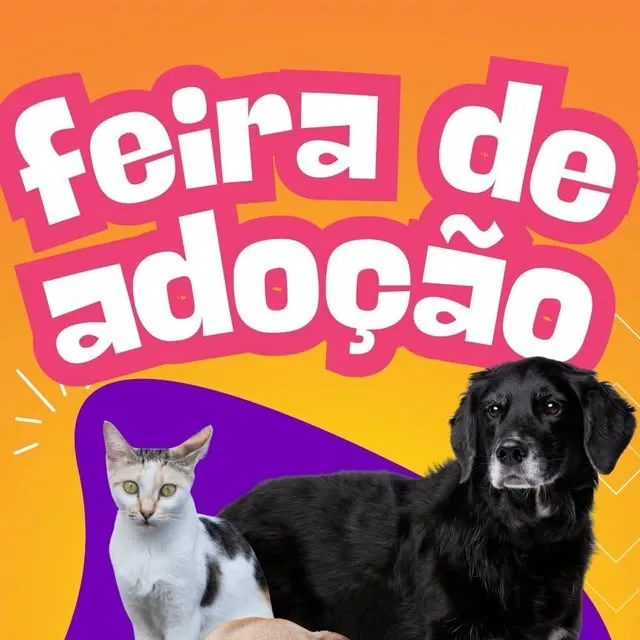 Feira de Adoção de Animais
