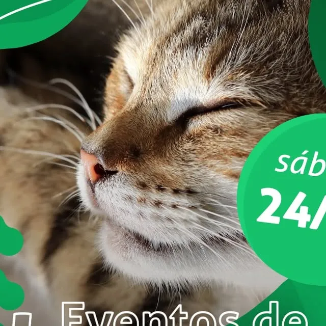 Adote o melhor amigo da sua vida!