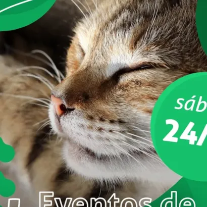 Adote o melhor amigo da sua vida!