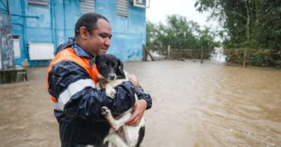 Feira Me Adota: Adote um Amigo Quatro Patas!