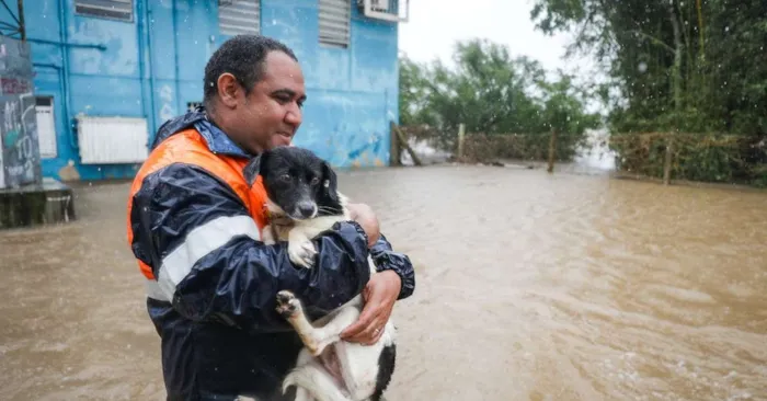 Feira Me Adota: Adote um Amigo Quatro Patas!