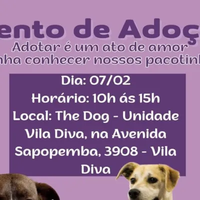 Feira de Adoção - Encontre seu Melhor Amigo!