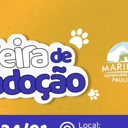 Feira de Adoção de Animais