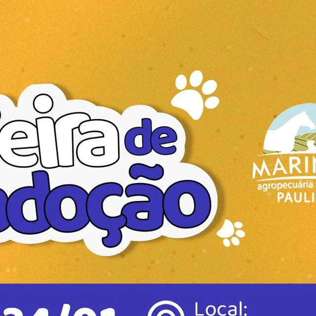 Feira de Adoção de Animais