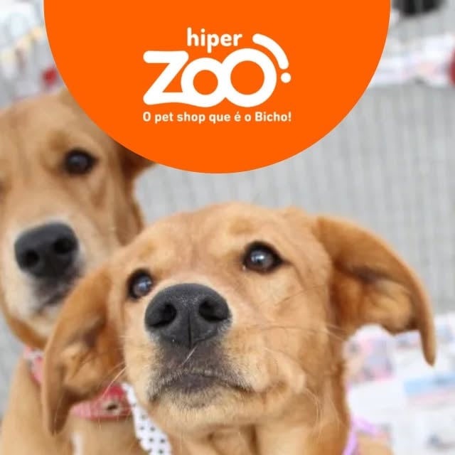 Encontro de Adoção de 2026