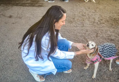 Feira de Adoção Me Adota em Porto Alegre