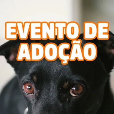 Evento de Adoção de Animais no RioMar Kennedy
