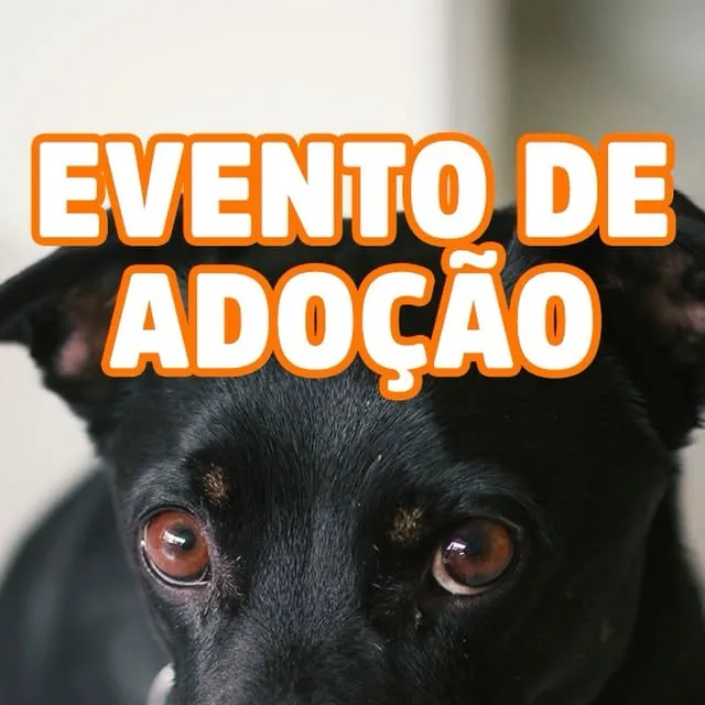 Evento de Adoção de Animais no RioMar Kennedy