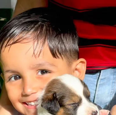 Adoção de Animais no CCZ