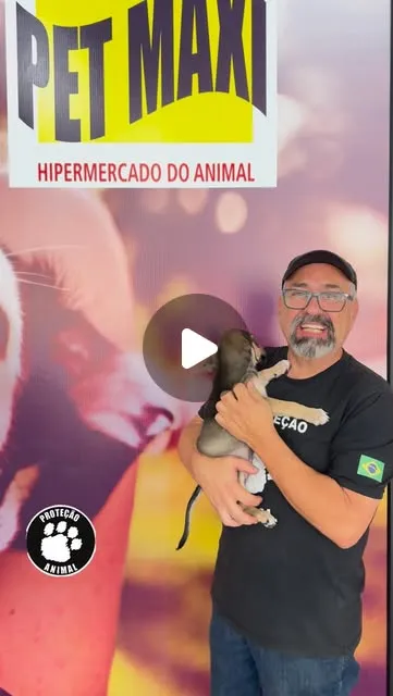 Grande Evento de Adoção do Coração