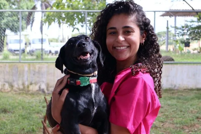 Adoção de Cães no DF