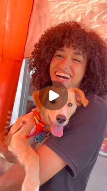 Feira de Adoção Pet Colors