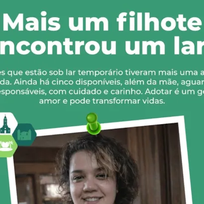 Adoção de Filhotes em Araçoiaba da Serra