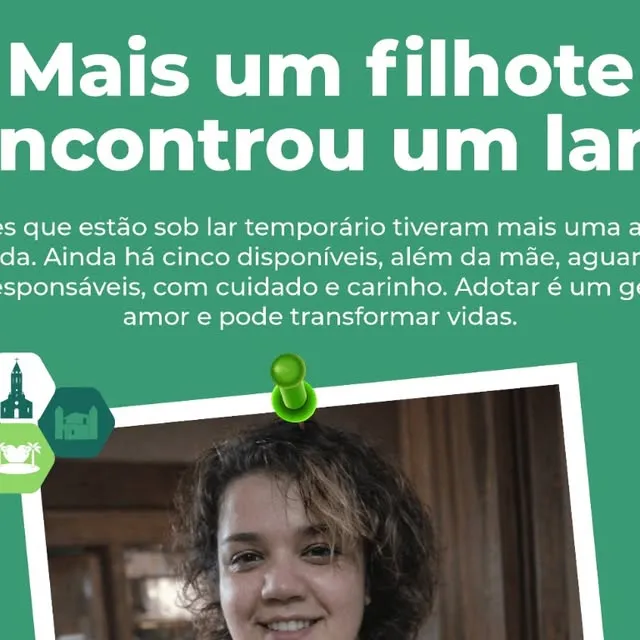 Adoção de Filhotes em Araçoiaba da Serra