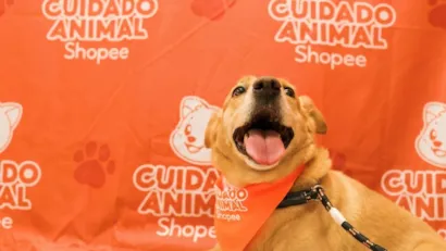 Evento de Adoção Responsável - Cuidado Animal