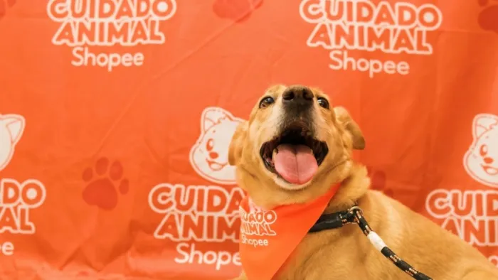 Evento de Adoção Responsável - Cuidado Animal