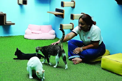 Descubra o Kuro Neko Coffee & Co: o primeiro Cat Café de Belém