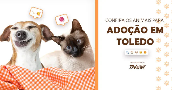 Adoção de Animais em Toledo