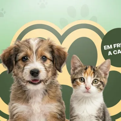 Feira de Adoção de Cães e Gatos no Big Shopping Contagem