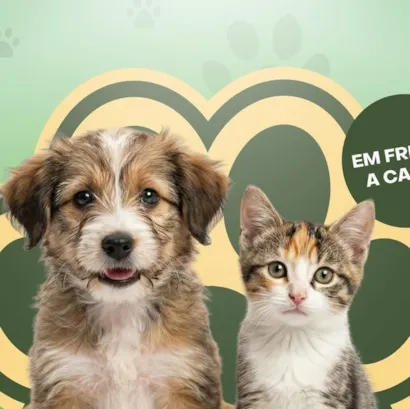 Feira de Adoção de Cães e Gatos no Big Shopping Contagem
