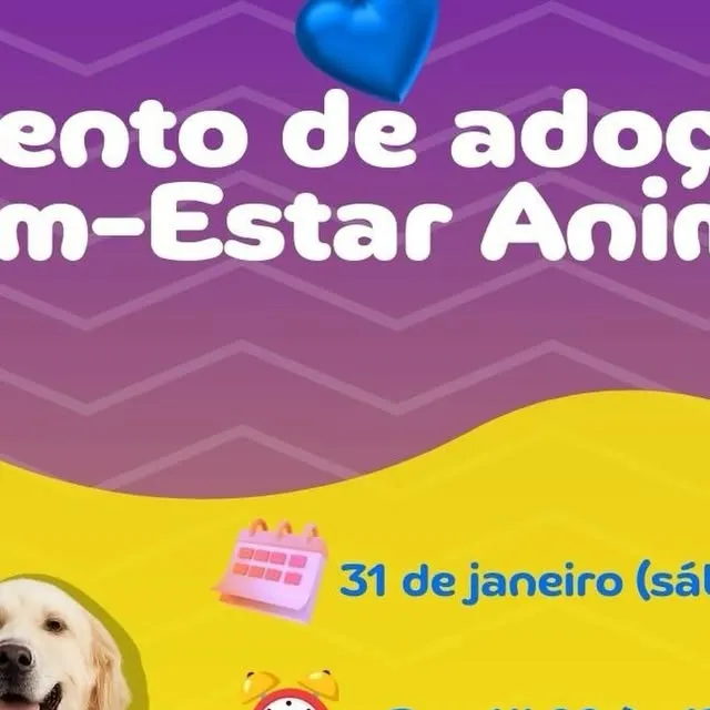 Feirinha de Adoção do Bem-Estar Animal