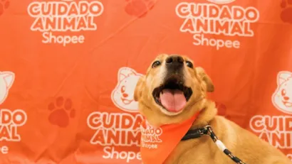 Shopee e Instituto Ampara Animal: Lançamento do Projeto Cuidado Animal