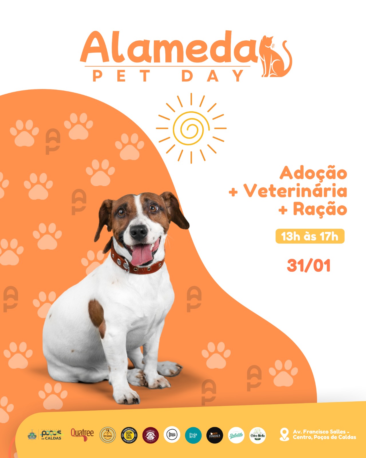 Feira de Adoção de Cães do Abrigo Municipal