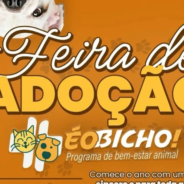 Feira de Adoção - É o Bicho!