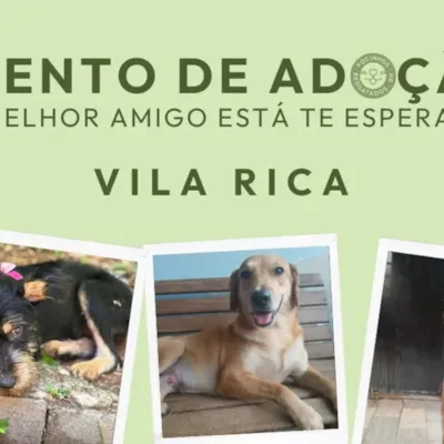 Feira de Adoção de Animais Vila Rica
