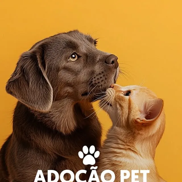 Adoção Pet no Bosque dos Ipês