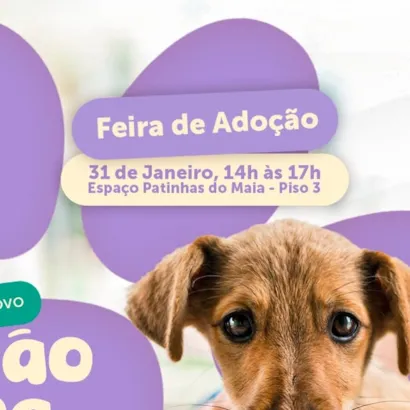 Feira de Adoção
