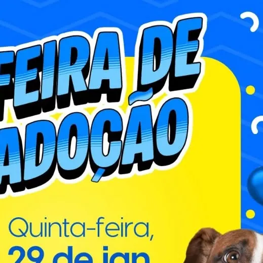 Feira de Adoção: Encontre seu Novo Melhor Amigo!