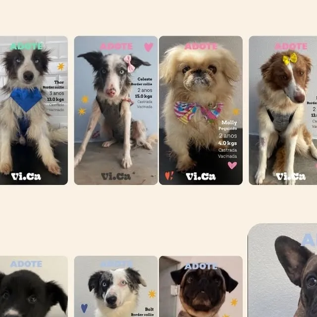 Evento de Adoção no VICA