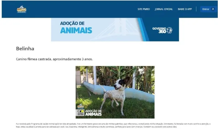 Adoção de Animais Agora pelo Aplicativo