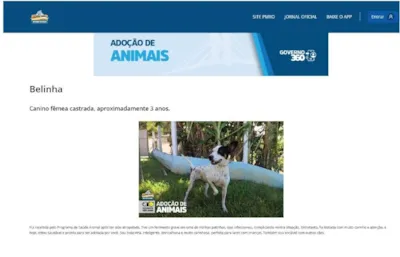 Adoção de Animais Agora pelo Aplicativo