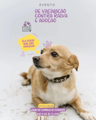 Vacinação Antirrábica e Adoção de Animais